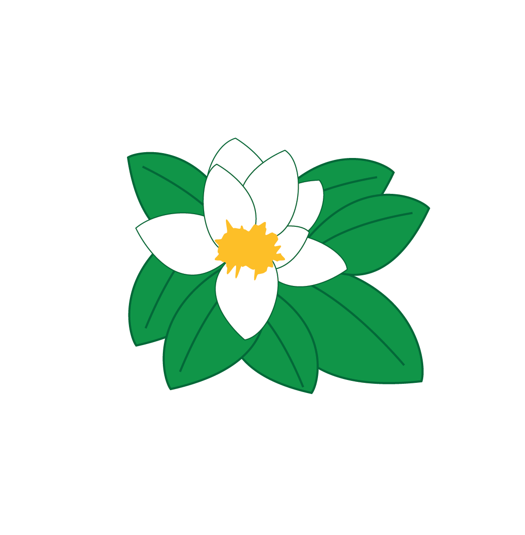 Hot Springs CC Logo